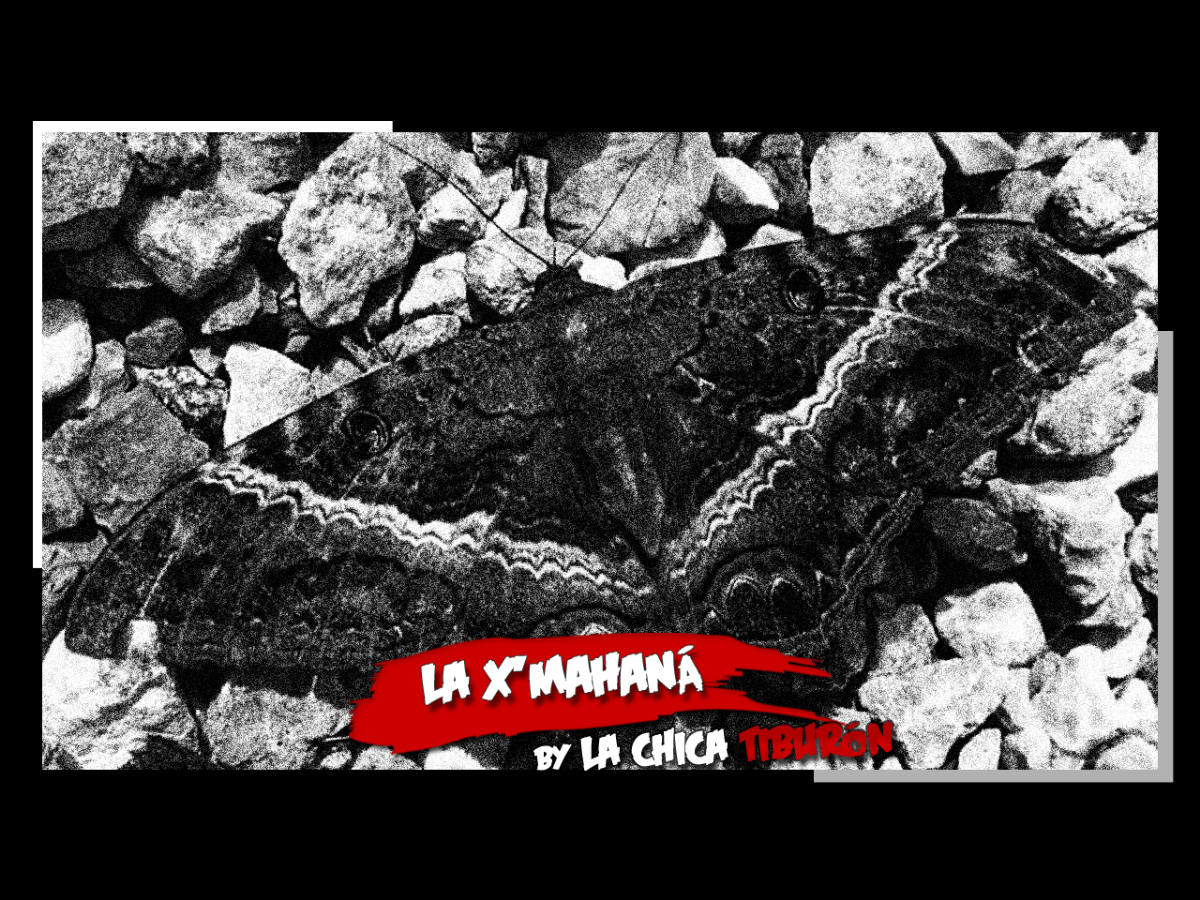 La X’mahana